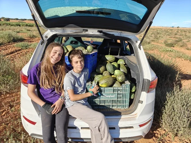 cosecha-melones-familia-fuente-del-chopo.webp